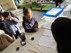 Elecciones Centro de Estudiantes 2026